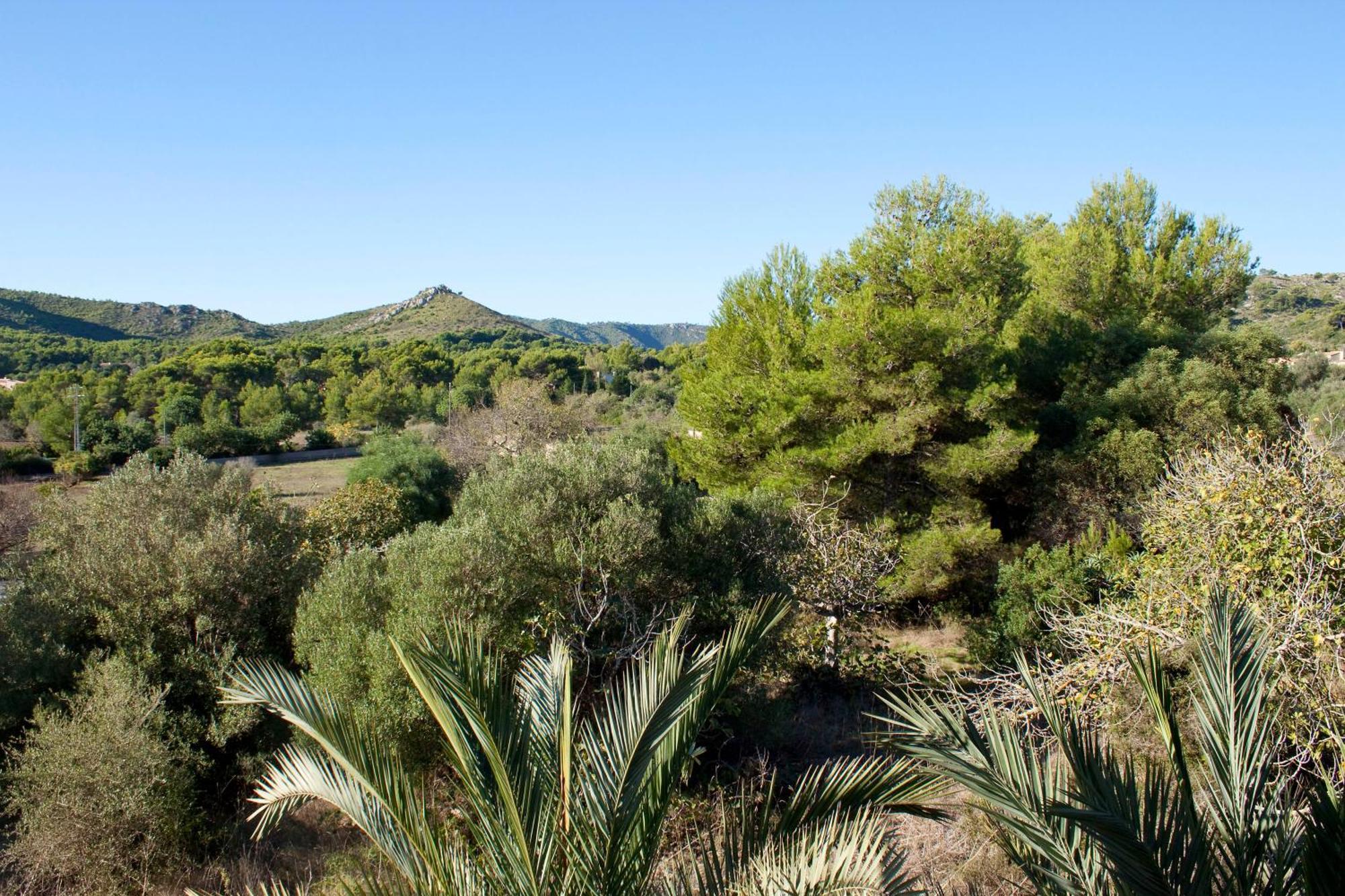 Fonda Las Palmeras Font de sa Cala Luaran gambar